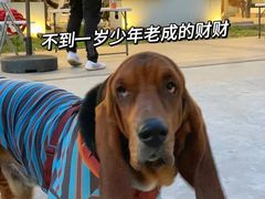 -小意思咖啡店(草桥店)