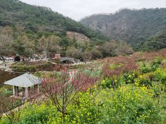 -广州市石门国家森林公园