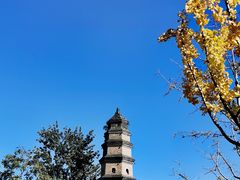 -关中书院