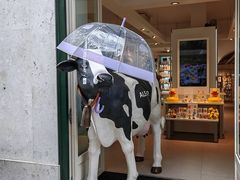 -圣胡斯塔升降机