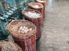 -食家鸽园