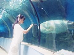 -苏州海洋馆