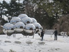-金泽21世纪美术馆
