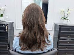 -时尚殿堂salon