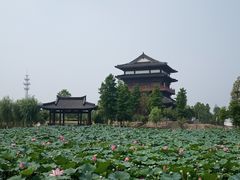 -东台西溪天仙缘景区