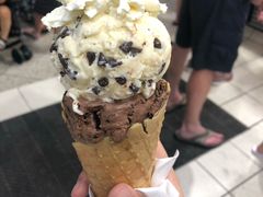 -黄金海岸