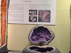 -中华赏石园