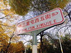-三里屯东五街银杏大道