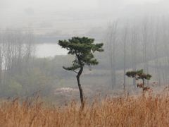 -恋山坝上草原