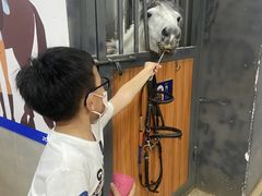 -骑乐马术(广州奥体优托邦中心)
