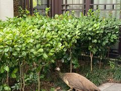-阳朔悦榕庄·明月西餐厅&清风吧