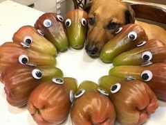 -方快-照相馆(君欣时代广场店)