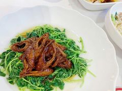 -席家花园(巨鹿花园店)