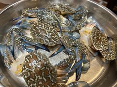 -丰尔粥食·粥底火锅·桑拿鸡(大良总店)