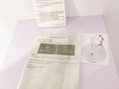 -成都失恋馆