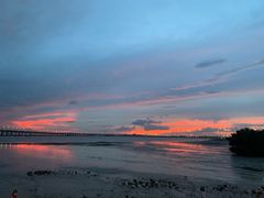 -宝安西湾红树林湿地公园