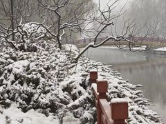 -元大都城垣遗址公园