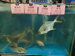 -渔文乐·海鲜大排档(壹品总店)