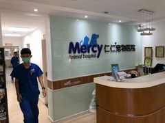 -宠福鑫动物医院·动物疾病诊疗中心(天通苑店)