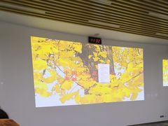 -四川大学(望江校区)