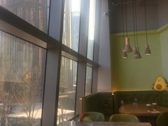 -油梨树AVOCADO TREE(望京店)