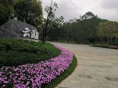 -云溪植物园
