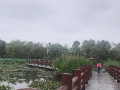 -长兴太湖图影湿地文化园