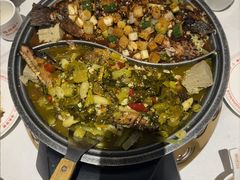 清泉鱼-锦尚阁烤鱼(望京新荟城店)