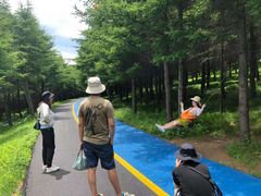 -红崖峡谷景区