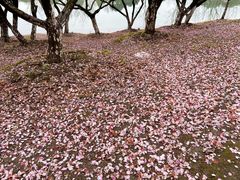 -白塘生态植物园
