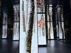 -中国湿地博物馆