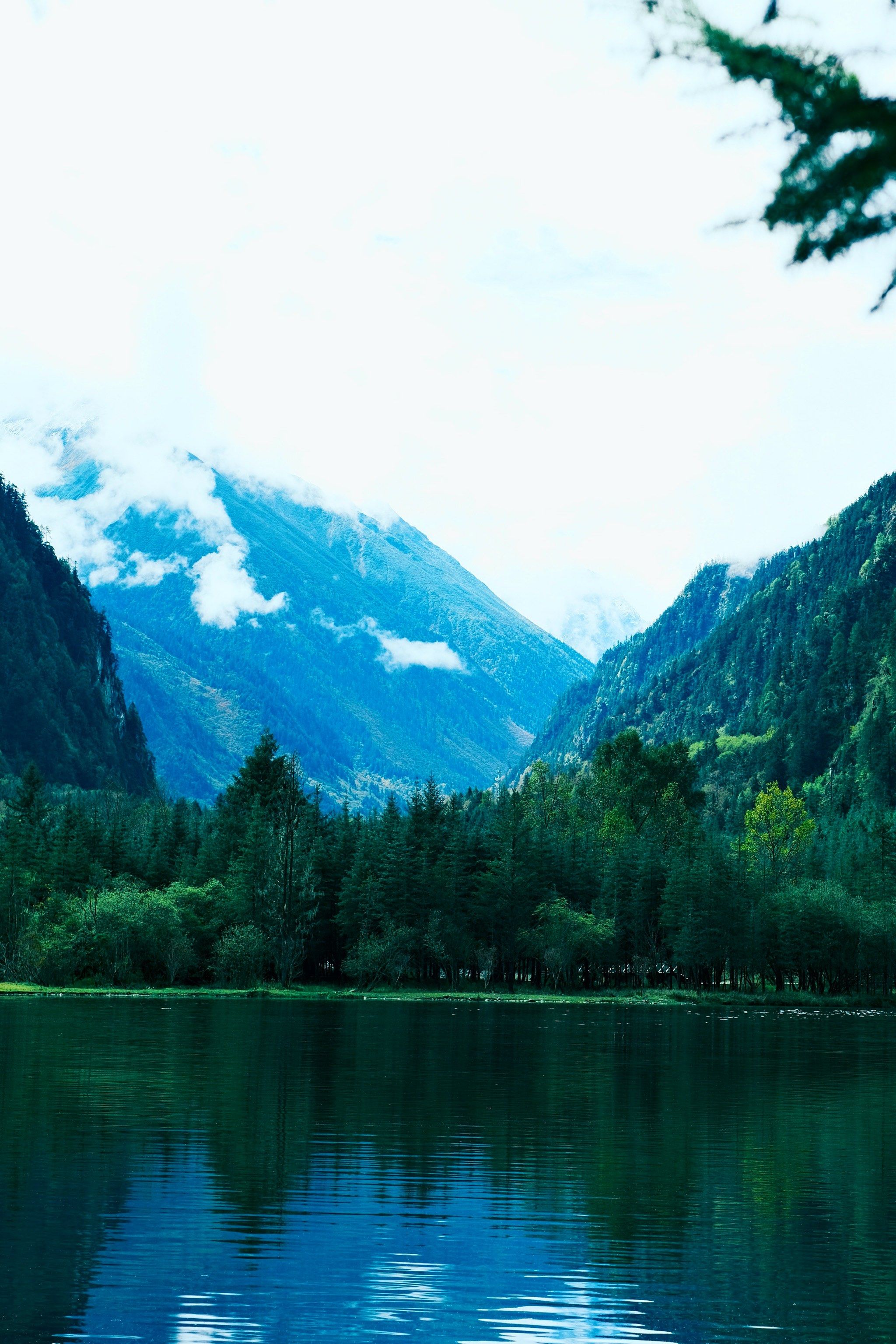 景9815|川西 61 毕棚沟景区