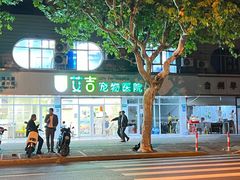 -艾吉宠物医院·疑难杂症转诊中心·猫友好(碧江路院)