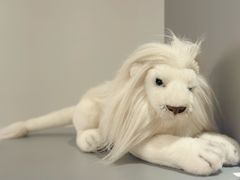 -视博茶点(美狮美高梅店)