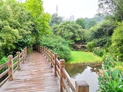 -龙头寺公园