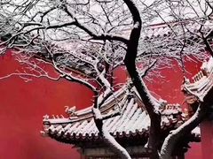 -故宫博物院(故宫)
