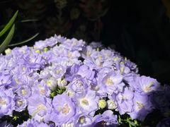 -米二红烧兔(华阳店)