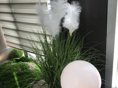 -映像威海·威海宴(威高广场店)