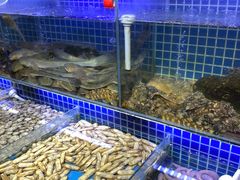 -必点海鲜·鲅鱼水饺(鞍山西道店)
