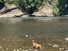 -武夷山风景名胜区-玉女峰