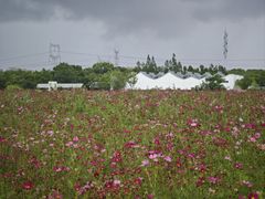 -嘉北郊野公园