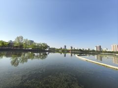 -莲花池公园
