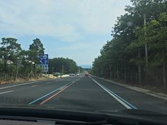 -霸王岭国家森林公园