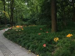 -杭州植物园