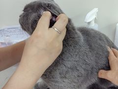 -美联众合动物医院·24h京西诊疗中心