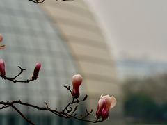 -国家大剧院