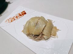 白切鸡-蝶园·装修中(BFC外滩金融中心店)