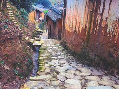 -杨家堂村