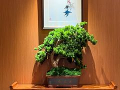 -国人川菜(李家村建东街店)