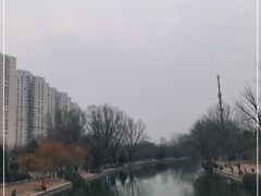 -望湖公园